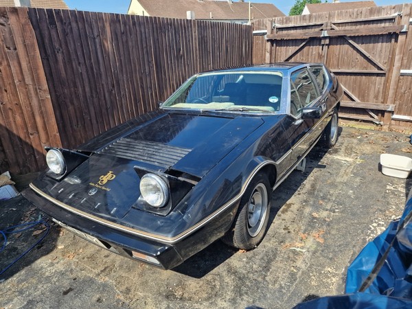 Image Placeholders2_edited.jpg