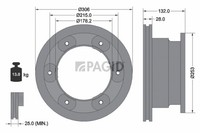 2X Pagid Bremsscheibe InnenbelüFtet Ø306Mm FüR Iveco Daily Vi