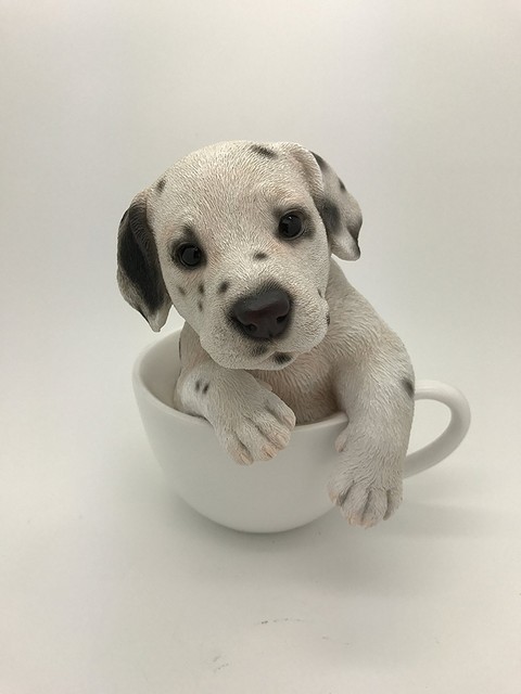 teacup dalmatian puppies