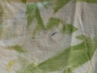 Picture 4 of 11
