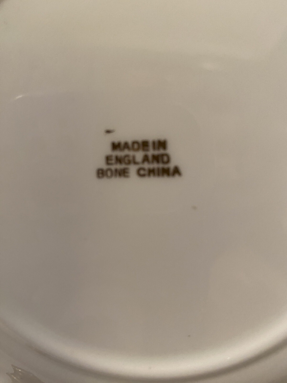 Foto 7 di 8