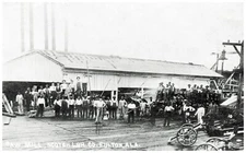 Fulton Alabama Scotch Lumber Co Saw Mill Postcard COPY #84096