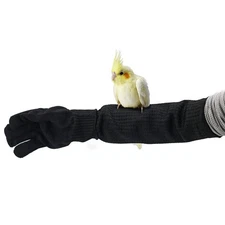 Bird Training Anti-Bite Gloves, Level 5 Protection, Parrot Chewing Working Sa...