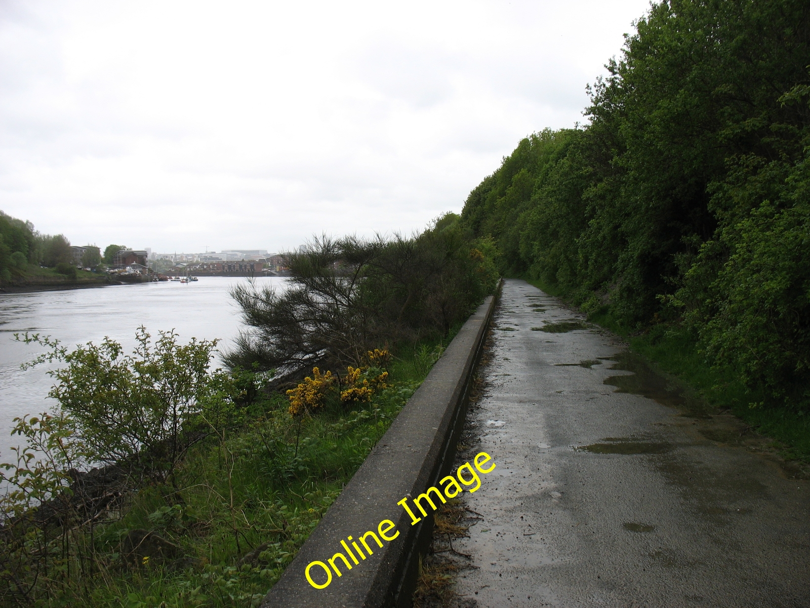 Photo 12x8 The Hadrian's Wall Path beside the River Tyne St Anthony's ...