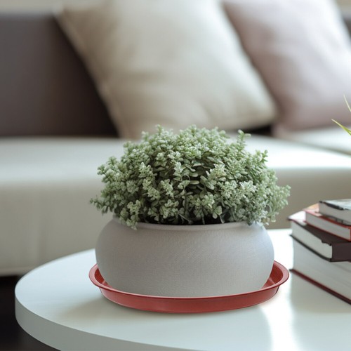 20 PCS Small Plant Pots Flower Pot Drip Trays Flower Pot Tray - Picture 3 of 12