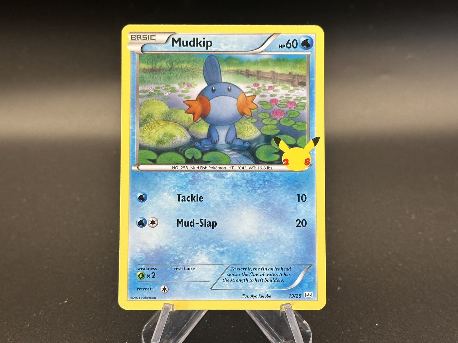 Mudkip - 19/25 McDonalds Collection 2021 - Pokémon TCG - 2021