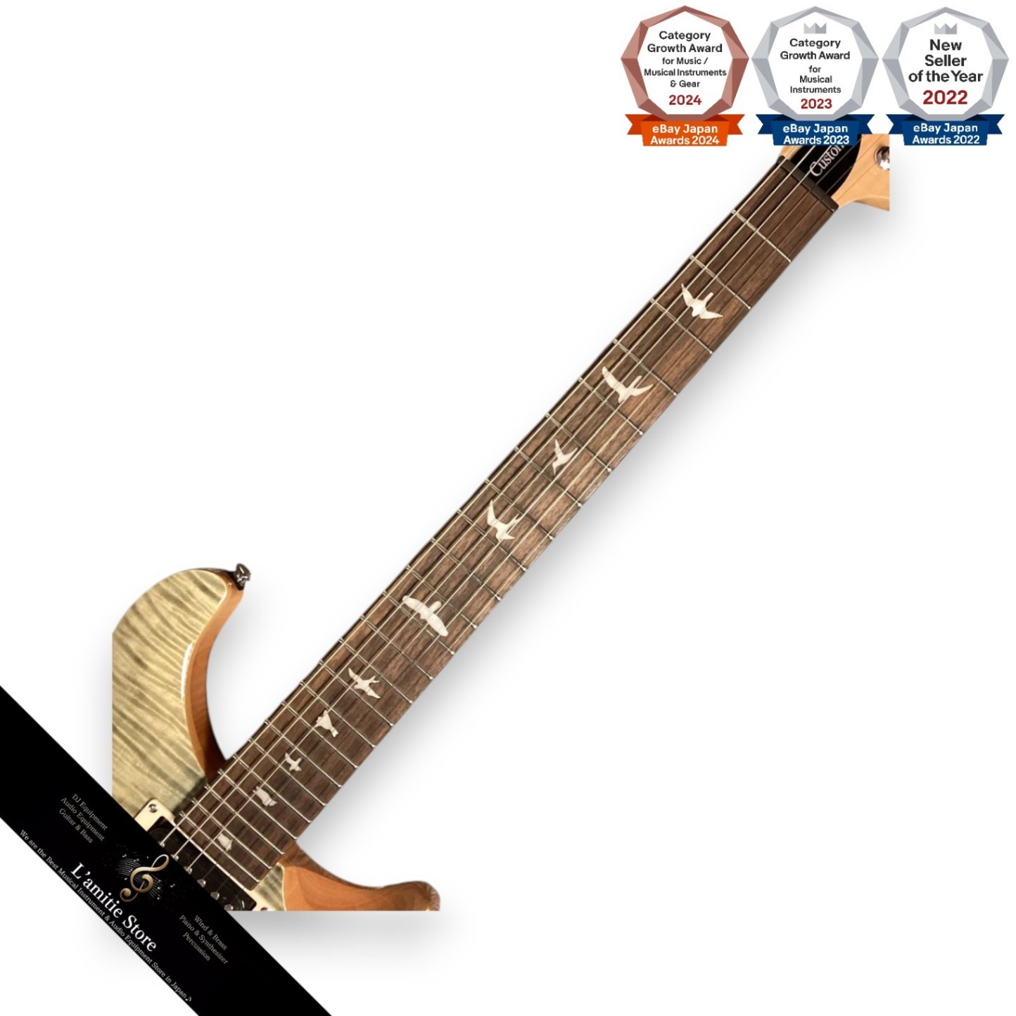 Paul Reed Smith SE Custom 24 Blue Fade Electric Guitar with Mapo neck