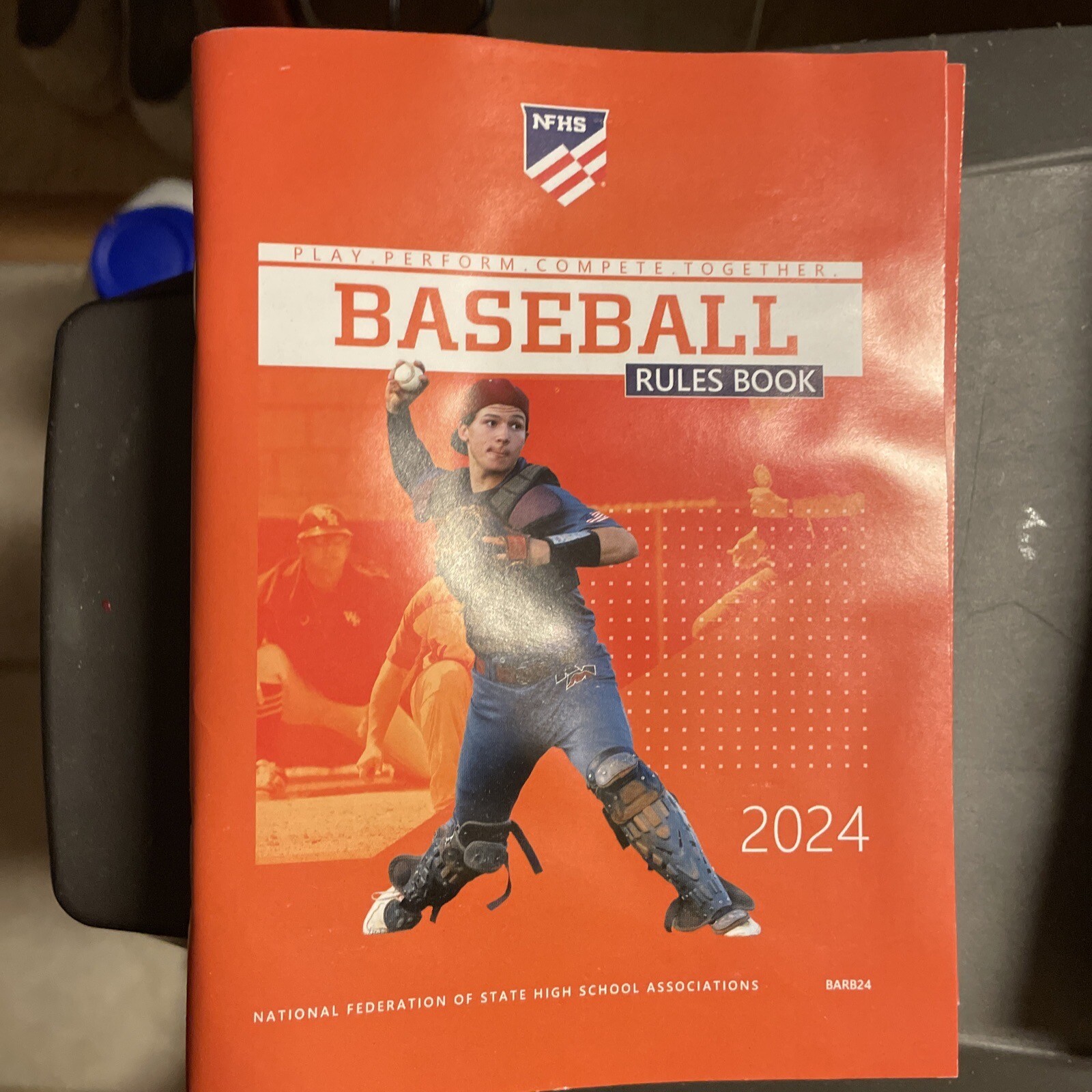 2024 NFHS Baseball Rules Book National Federation High School