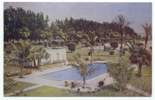 St. Petersburg FL Vinoy Park Hotel Pool Vintage Postcard Florida