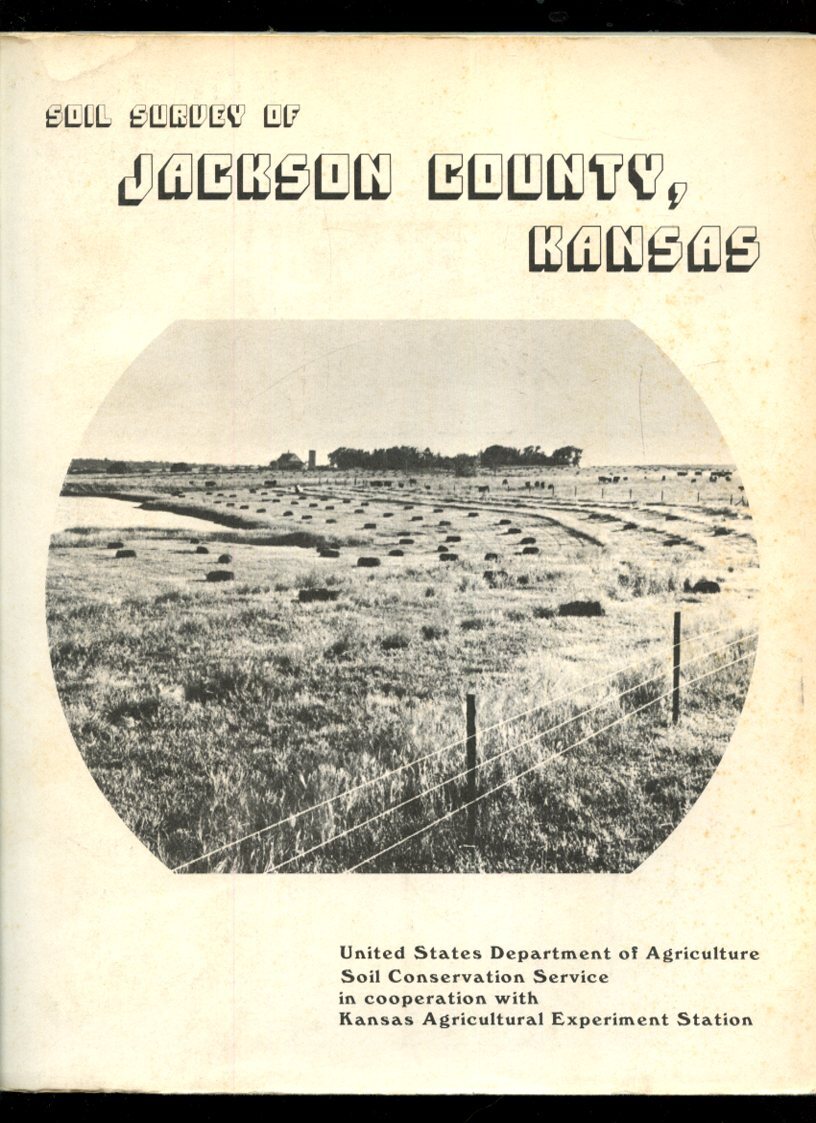 Surveyor Market Item for Sale