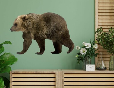 3D Schwarz Bär C558 Tier Wallpaper Wandbild Poster Wandaufkleber Abziehbild Zoe