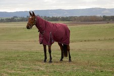 Weatherbeeta Comfitec Prelim 220g Horse Turnout Rug, Full Neck Combo , 1200den