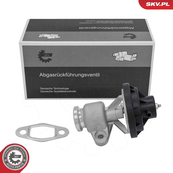 Esen SKV Agr-Ventil 14SKV321 FüR Seat Skoda VW-image