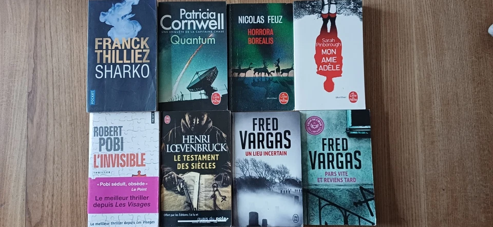 LOT 16 LIVRES DE POCHE - POLICIER - THRILLER - VARGAS - HIGGINS CLARK - THILLIEZ - Photo 3/3