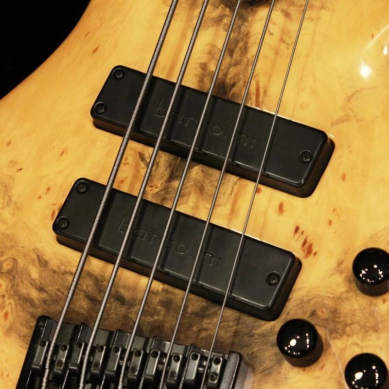 Roscoe LG3005/34 б/у 5-струнная бас-гитара Buckeye Burl Top, масштаб 34 дюйма, '09 - Изображение 3 из 4