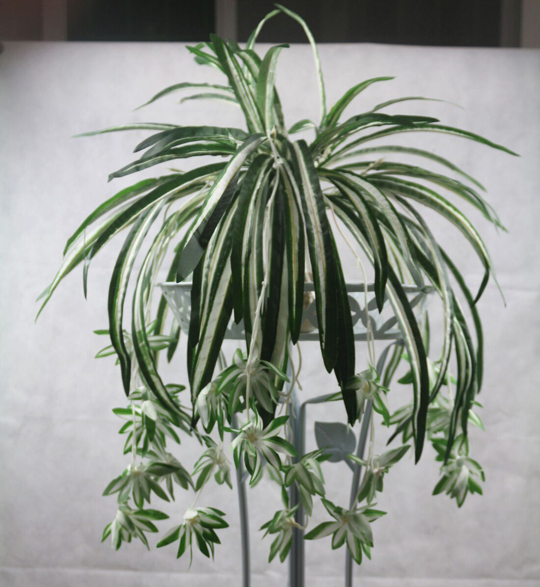 3 Sets Artificial Bracketplant chlorophytum Spider Flowers Bonsai
