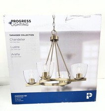 Progress Lighting Tamassee 4-Light Brushed Go...