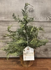 My Texas House Pre-Lit 24" Cypress Christmas Tree 2 Foot Pot NEW 2025