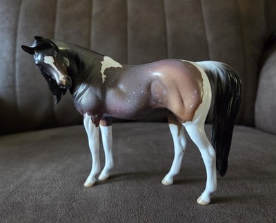 Amaranthine SAMPLE 2025 Little Horse Show Pebbles Pinto Arab