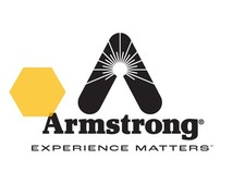 Armstrong International A8991 Seal Kit 90,91,92,93,94