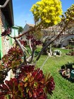 Bild 15 von 24
