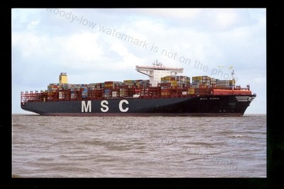CS0004 - MSC Containership - MSC Anna - Foto 6x4