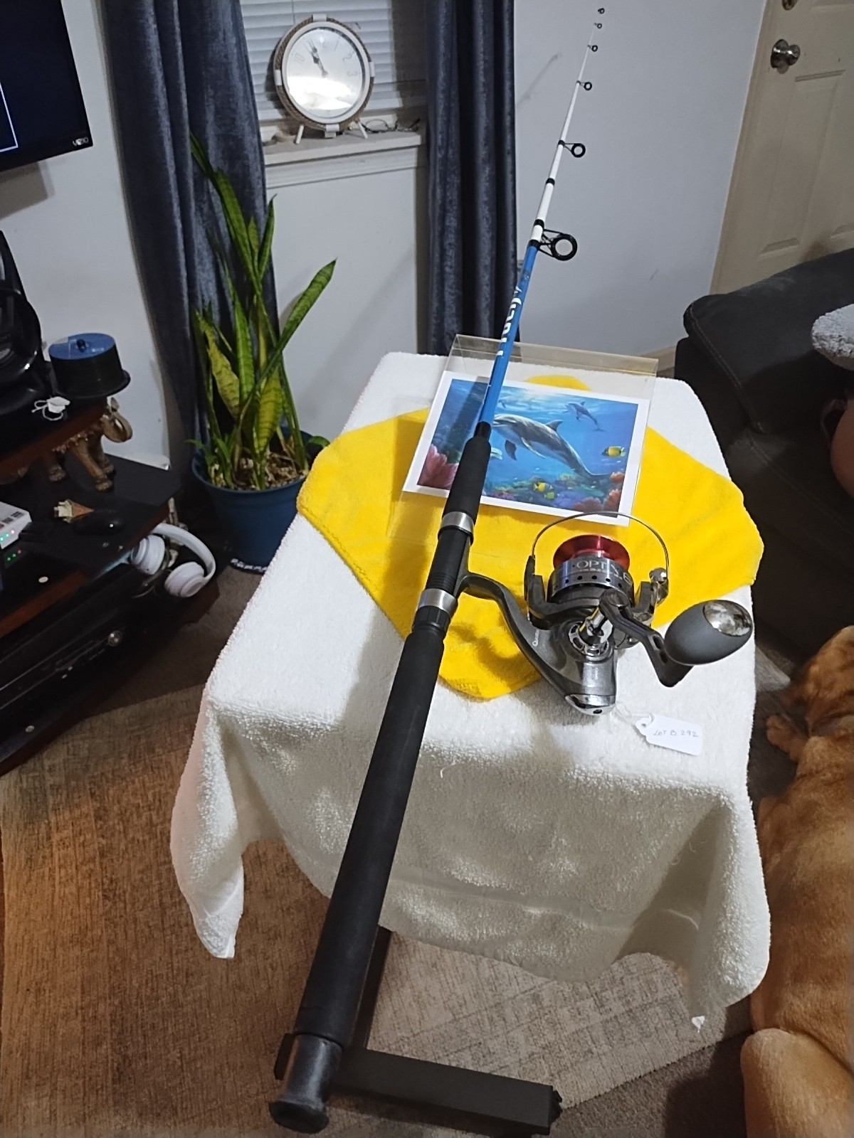 Spinning Fishing Rod Tiger 7' Med 8-15lb And Reel Quantum Op