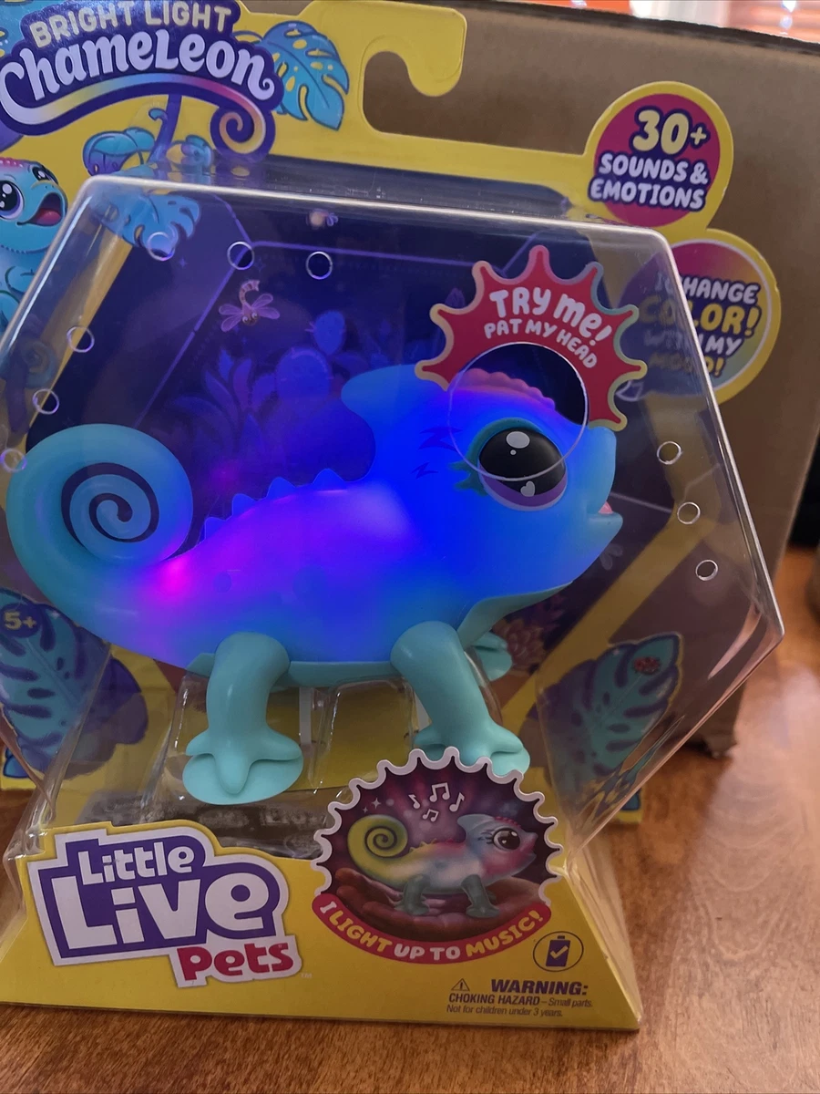 Little live pets best sale game
