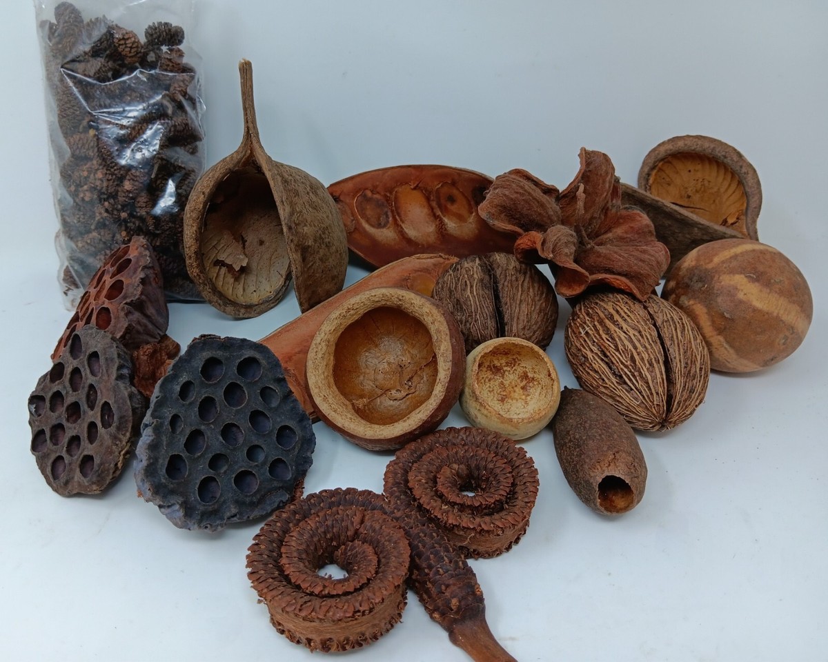 Fishtank Botanicals blackwater tannins aquarium terrarium