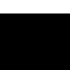 SAMSHIELD Elea Equestrian Sleeveless Winter Coat Down To Knees Women's Sz S Pati