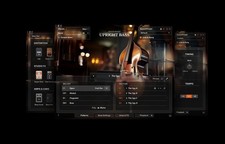 Native Instruments Session Bassist: Upright Bass for Kontakt - License Transfer