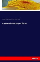 A Second Century Of Ferns Hooker William Jackson
