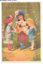 Ch Bfp1 0435 Chromos - E Testot - Postage Stamps - Sold As Is