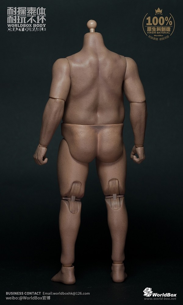 1/6 男性フィギュア WorldBox AT018 胸毛 生理部付 肥満男性ボディ