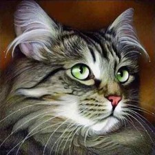 Fluffy Cat Diamond Painting Kit - Complete Kit - 7.87"x7.87" - Frameless