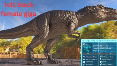 Ark Survival Ascended PVE SOLID BLACK FEMALE LEVEL 1 GIGA (KLON) XBOX/PC/PS5