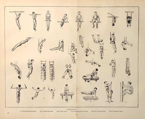 1891 Gymnastics Original Antique Print - Sports - Gymnastics