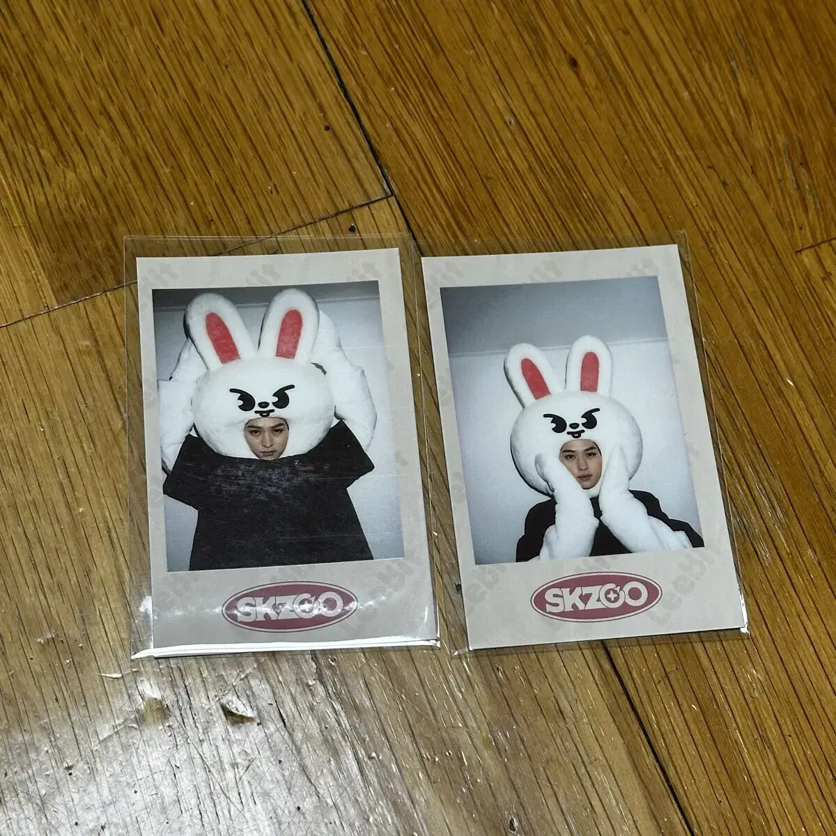 スキズ リノ ポラロイド straykids leeknow straykids straykids leeknow polaroid | eBay