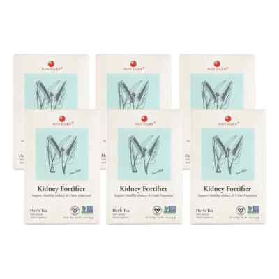 Kidney Fortifier Herb Tea by Health King (6 Boxes of 20 Teabags Each)