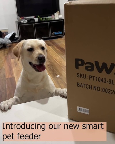 Pawz 9L Auto Pet Feeder Automatic Camera Cat Dog Smart Wifi App Food Dispenser - Video 1 of 1