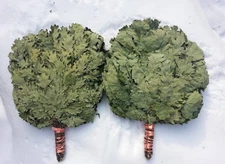 Sauna Oak Whisk Twigs Broom Bunch Bathhouse Banja Venik Banya Wenik 10 pcs