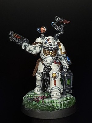 Warhammer 40k Black Templars Space Marines Apothecary Biologis well painted