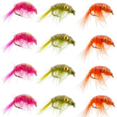 Beaded Shrimp Scud Assortment - 1 Dozen Size 12 - Tailwater Lake Fly