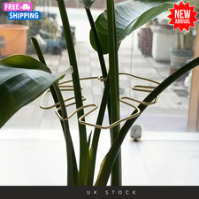 Monstera Leaf Plant Trellis Houseplant Support Grow Vertically Indoor Climbing