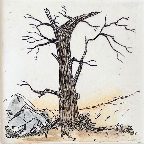👩🎨 alter Baum verdorrt - Original Radierung signiert Voos nummeriert Grafik - Bild 2 von 4
