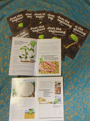 ELEMENTARY TEACHERS 12-JUST THE BEGINNING/LIFE OF A YOUNG SPROUT, GUIDED READING