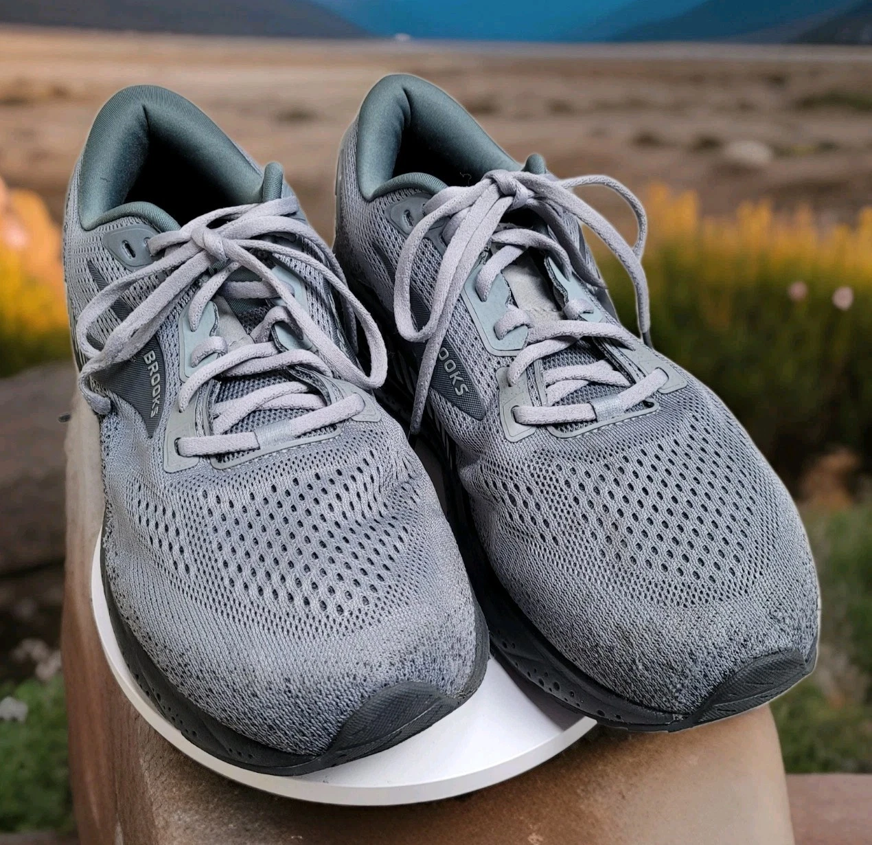 Brooks Beast GTS 24 Men's 11 WIDE 2E Grey Ebony Running Shoes Athletic Run Run