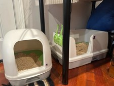 Durable Cat Litter Pads 40 Count - Eco-Friendly with Fresh Scent  Absorbency