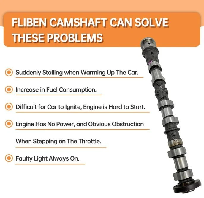 Árbol de levas de escape lateral izquierdo 5184377AG para (2011-2017) Dodge Grand Caravan 3,6 L V6 Foto 4 de 4