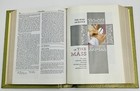 Bild 7 von 7